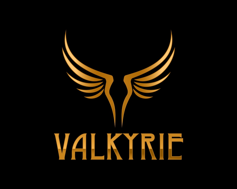 Logo Design entry 2853693 submitted by Armchtrm to the Logo Design for Valkyrie run by davinci