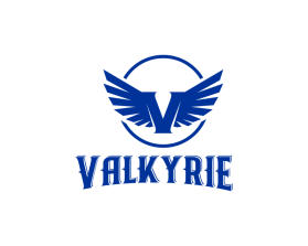 Logo Design entry 2771054 submitted by Cappanegra to the Logo Design for Valkyrie run by davinci