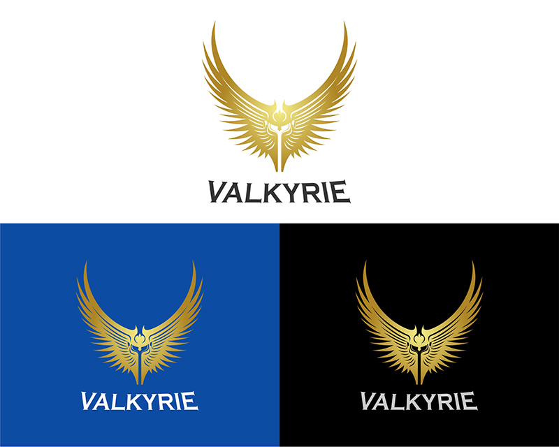 Logo Design entry 2773196 submitted by mannat1922z to the Logo Design for Valkyrie run by davinci