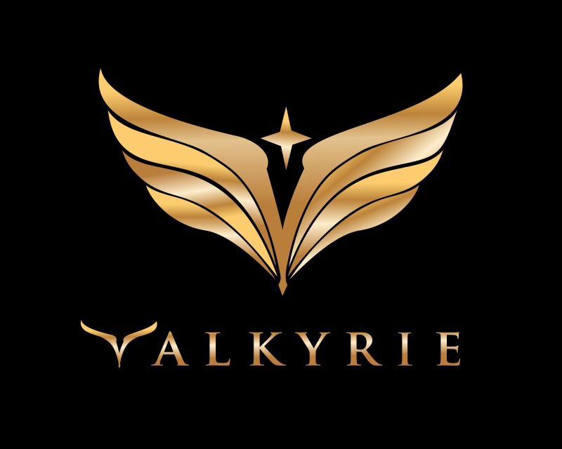Logo Design entry 2853693 submitted by Ilham Fajri to the Logo Design for Valkyrie run by davinci