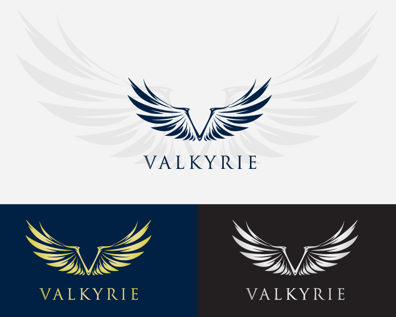 Logo Design entry 2853693 submitted by ekowahyu to the Logo Design for Valkyrie run by davinci