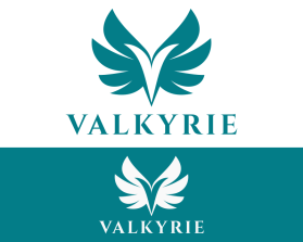 Logo Design Entry 2777338 submitted by Kang okim to the contest for Valkyrie run by davinci