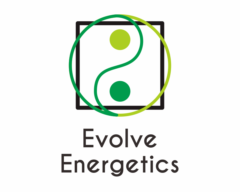 Logo Design entry 2776078 submitted by rokerdesain to the Logo Design for Evolve Energetics run by duhameau