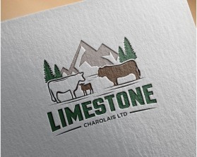 Logo Design entry 2882139 submitted by Amit1991