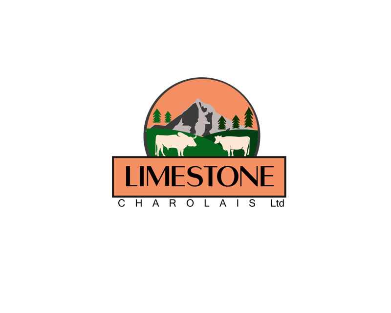 Logo Design entry 2882637 submitted by ANIDESIGN