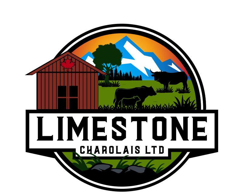 Logo Design entry 2783357 submitted by Kukua to the Logo Design for Limestone Charolais Ltd run by Prairedog