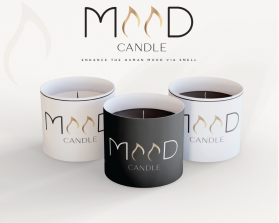 Logo Design Entry 2843291 submitted by farahlouaz to the contest for Mood Candle run by cannibal8151!