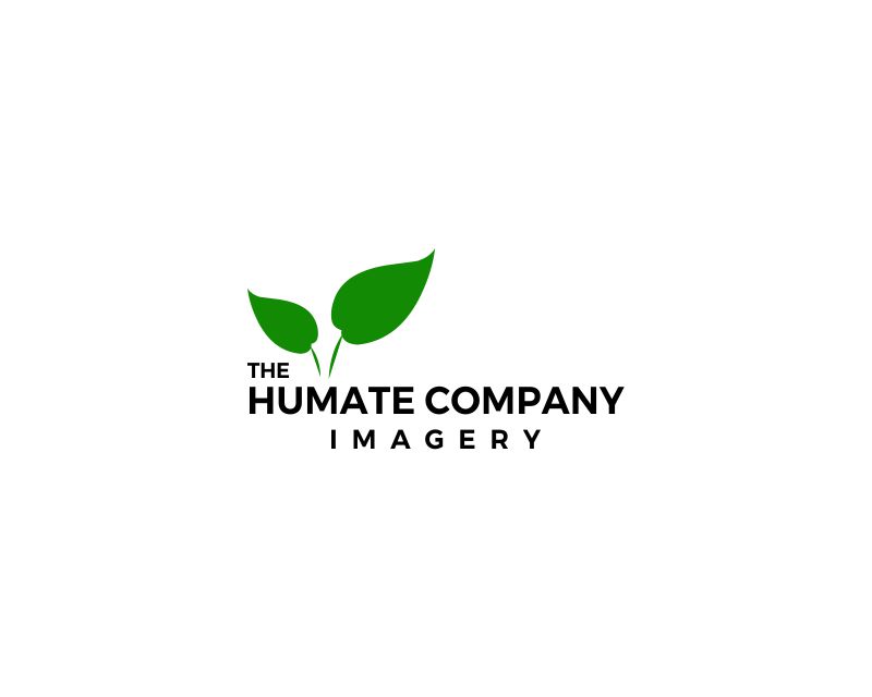 Logo Design entry 2938280 submitted by donang