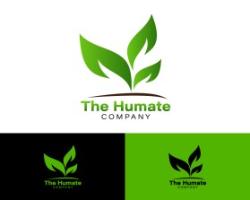 Logo Design entry 2935142 submitted by HOKOIKO
