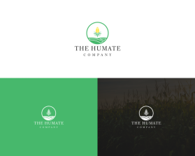 Logo Design entry 2938661 submitted by Aizennn