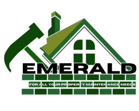 Logo Design Entry 2840793 submitted by MelizardWorks to the contest for Emerald run by Mcbeara
