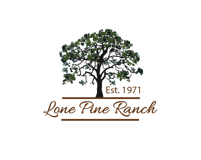Logo Design entry 2964249 submitted by Coral