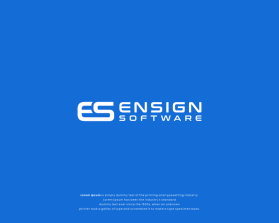 Logo Design entry 2963932 submitted by LogoAmr to the Logo Design for Ensign.Software run by jonsg123