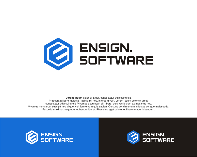 Logo Design entry 2962930 submitted by MKcreativestd to the Logo Design for Ensign.Software run by jonsg123