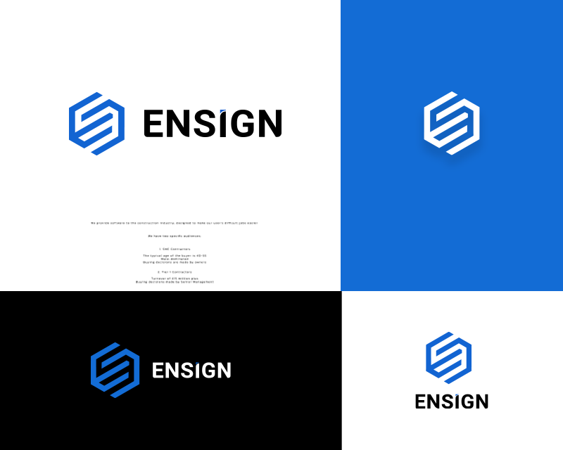 Logo Design entry 2959537 submitted by DeZain to the Logo Design for Ensign.Software run by jonsg123