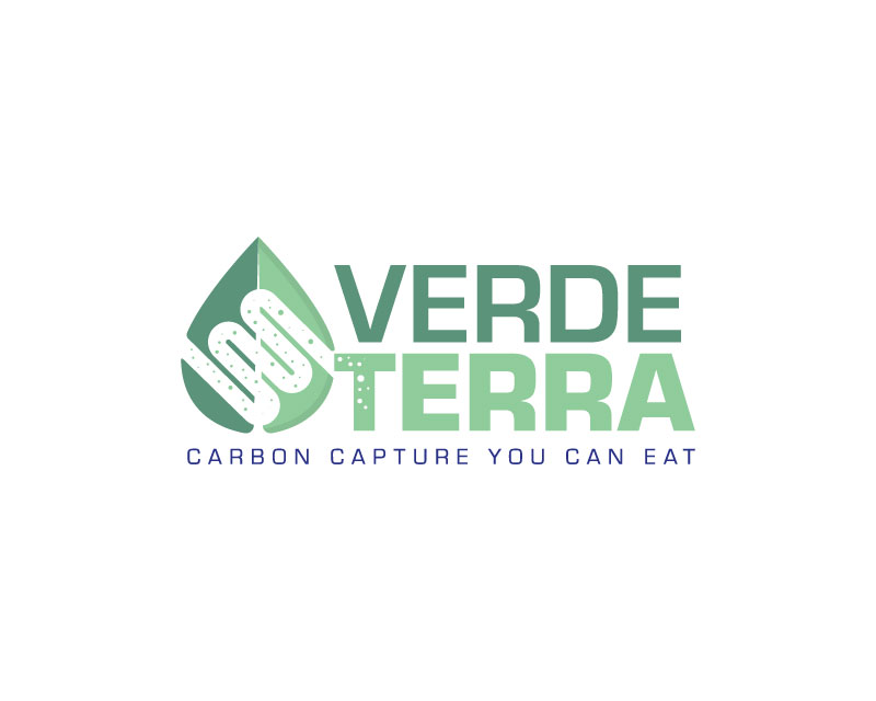 Logo Design entry 3054210 submitted by ChesterC to the Logo Design for VerdeTerra run by VerdaTerra