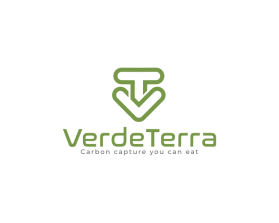 Logo Design Entry 3052504 submitted by HUSNUL7 to the contest for VerdeTerra run by VerdaTerra