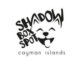 Logo Design entry 3067498 submitted by CreaTed to the Logo Design for Shadow Box Spot run by scobru
