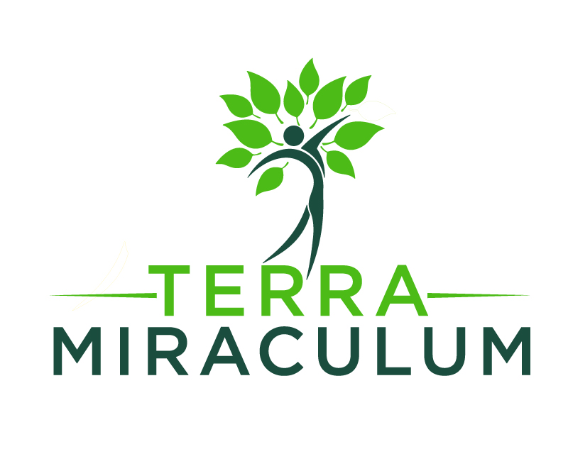 Logo Design entry 3080741 submitted by SamuelD to the Logo Design for Terra Miraculum run by DrGibson