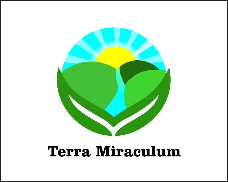Logo Design entry 3076598 submitted by taufik27 to the Logo Design for Terra Miraculum run by DrGibson