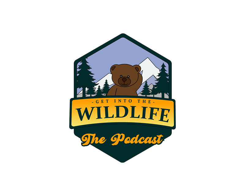 Logo Design entry 3078785 submitted by Mozu to the Logo Design for Get Into the Wildlife run by lukemyrongold23