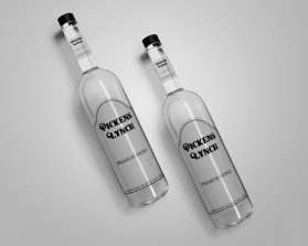 Logo Design Entry 3094578 submitted by Cosmic_Designs to the contest for Pickens Lynch Premium Vodka run by Blackman61