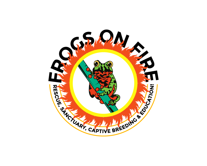 Logo Design entry 3100608 submitted by Novin to the Logo Design for Frogs on Fire run by Frogsonfire