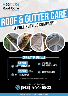 Brochure Design entry 3120641 submitted by iosiconsdesign to the Brochure Design for FocusRoofCare.com run by rtooley