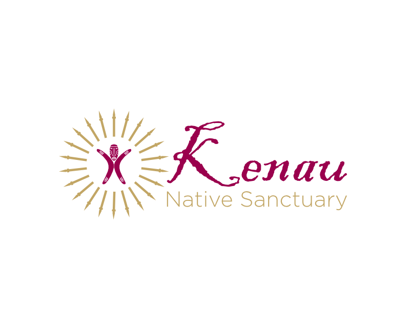Logo Design entry 3133381 submitted by demonk24 to the Logo Design for Kinau run by shaunie123