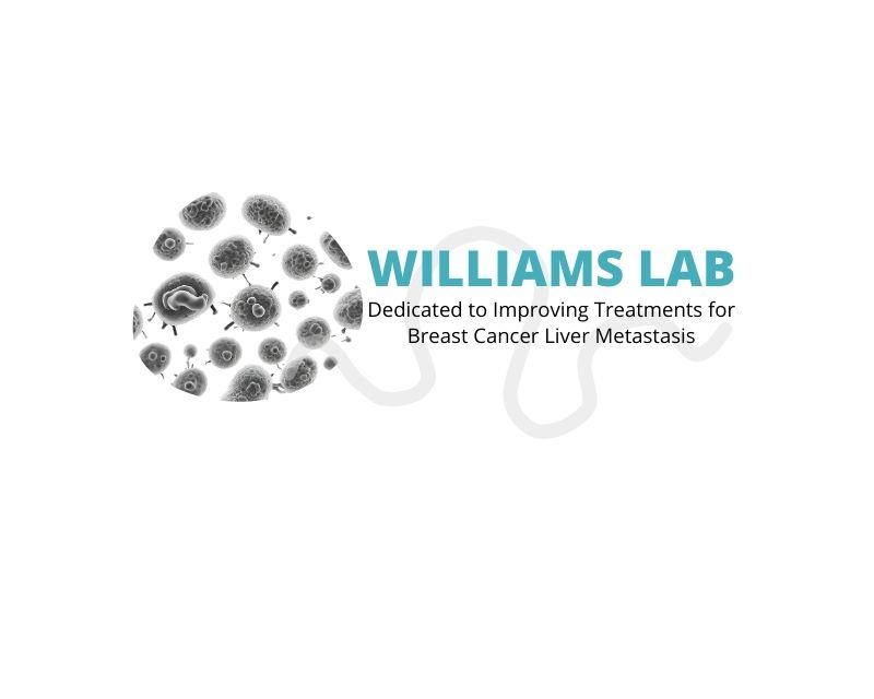 Logo Design entry 3158630 submitted by Zavi to the Logo Design for Williams Lab run by mwilli323