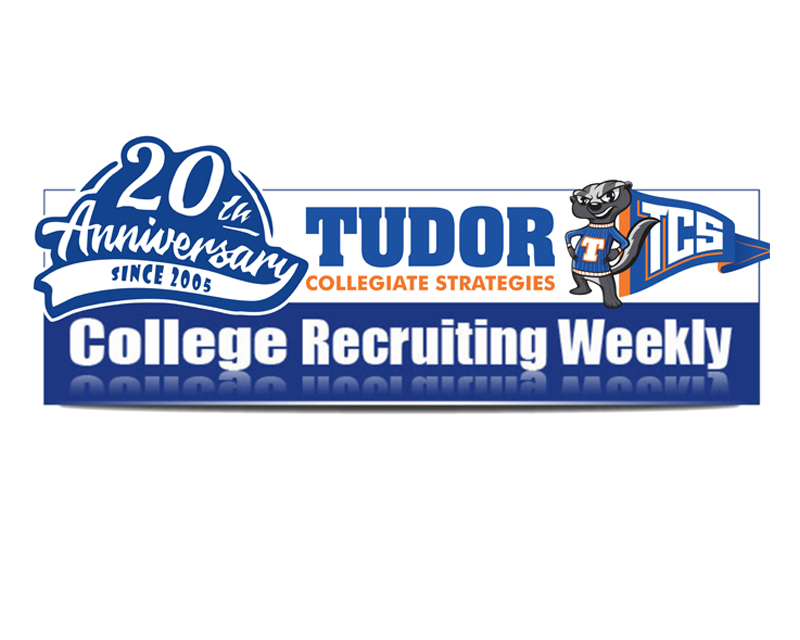 Header Design entry 3149016 submitted by xorex to the Header Design for Tudor Collegiate Strategies run by dantudor