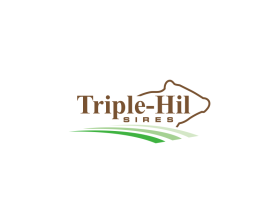 Logo Design entry 3150403 submitted by andsue to the Logo Design for Triple-Hil Sires run by triplehil