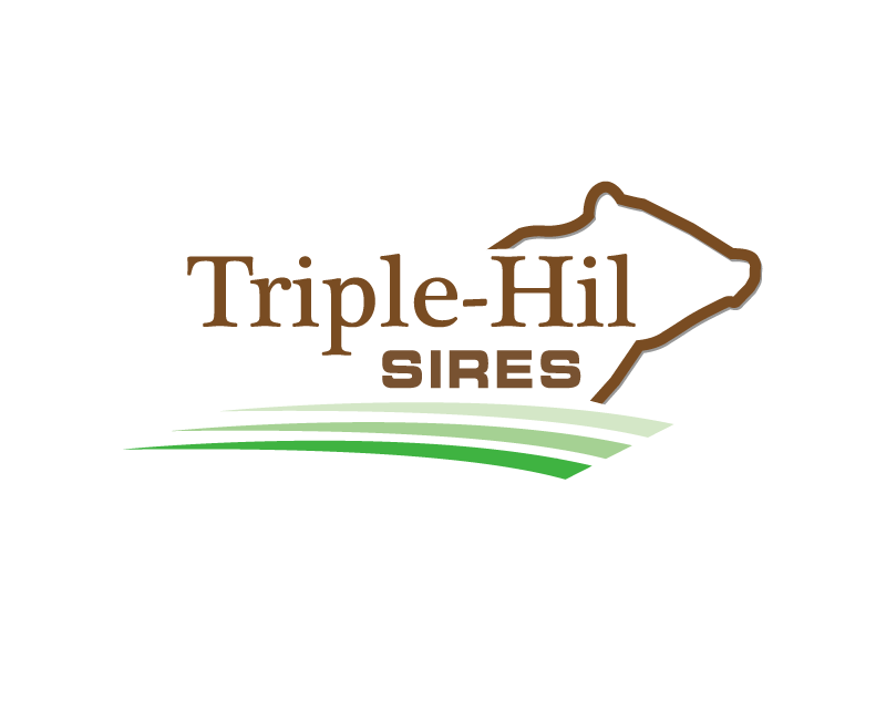 Logo Design entry 3150210 submitted by Suren to the Logo Design for Triple-Hil Sires run by triplehil