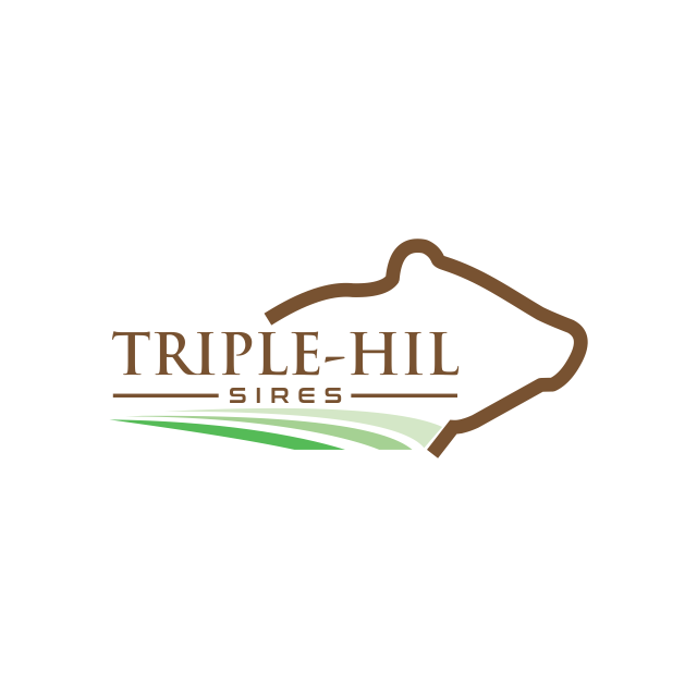 Logo Design entry 3147772 submitted by azzahro to the Logo Design for Triple-Hil Sires run by triplehil