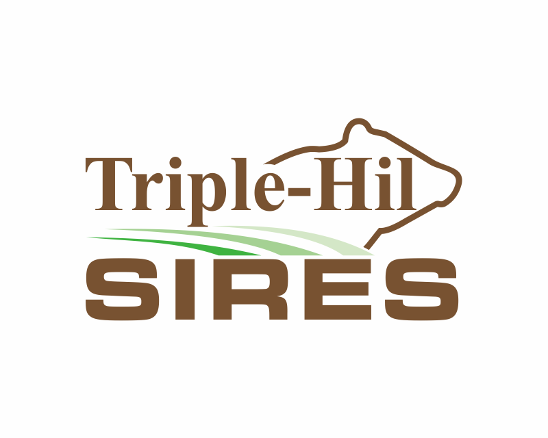 Logo Design entry 3147481 submitted by mulia to the Logo Design for Triple-Hil Sires run by triplehil
