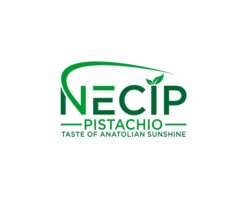 Logo Design entry 3168474 submitted by Gacountt to the Logo Design for Necip Pistachio,Necip Nuts,Necip Antep Fıstığı,Necip run by Hacaka