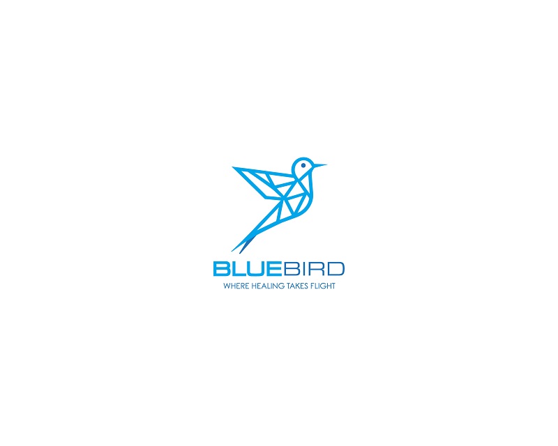 Logo Design entry 3286968 submitted by WOWIDEA99