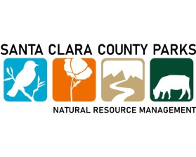 Logo Design entry 3180293 submitted by EnDeeYo-Nicole to the Logo Design for Santa Clara County Parks Natural Resource Management run by SCCP_NRM