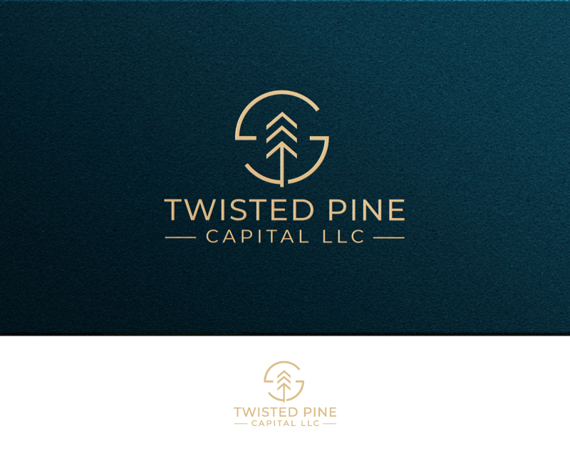 Logo Design entry 3291882 submitted by zeykan