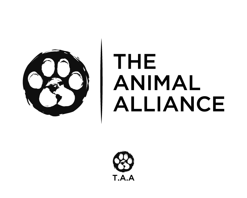 Logo Design entry 3191240 submitted by nyoovernyo to the Logo Design for The Animal Alliance (TAA) run by TheAnimalAlliance