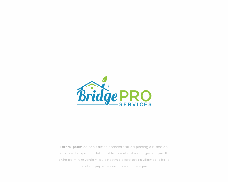 Logo Design entry 3193400 submitted by GeoGrap to the Logo Design for Bridge Pro Services run by Kodili90