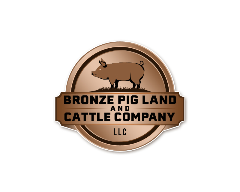Logo Design Entry 3231758 submitted by Adam to the contest for Bronze Pig Land & Cattle Company, LLC run by sandyw