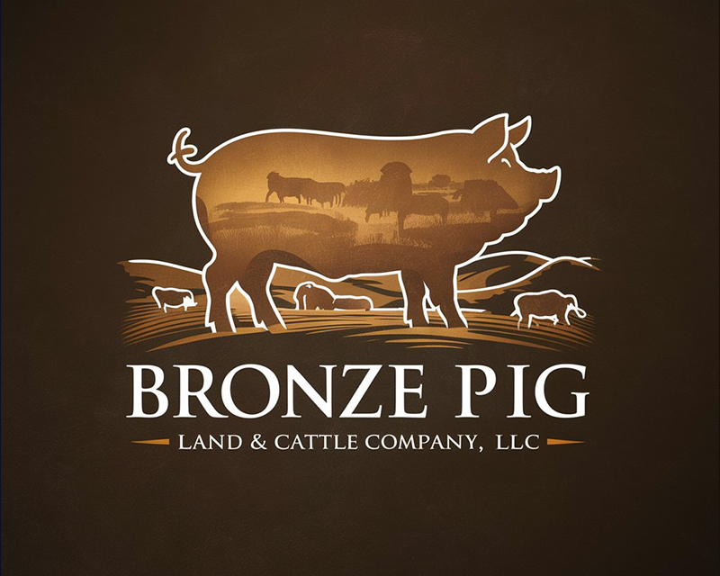 Logo Design entry 3232395 submitted by vikiediki to the Logo Design for Bronze Pig Land & Cattle Company, LLC run by sandyw