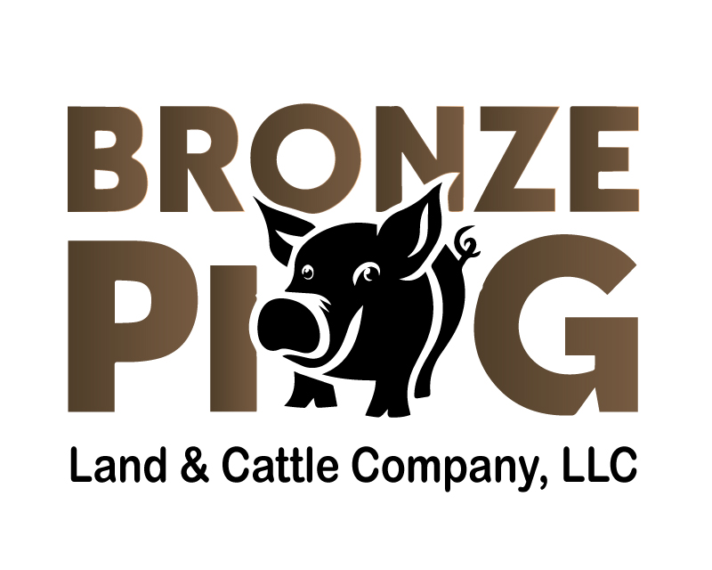 Logo Design Entry 3232169 submitted by VikramS_Design to the contest for Bronze Pig Land & Cattle Company, LLC run by sandyw