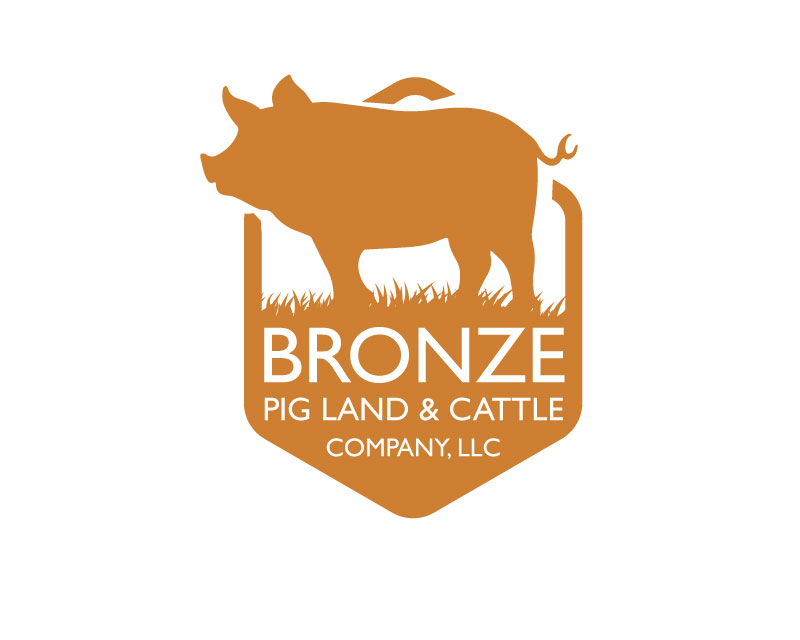 Logo Design Entry 3231700 submitted by Zavi to the contest for Bronze Pig Land & Cattle Company, LLC run by sandyw