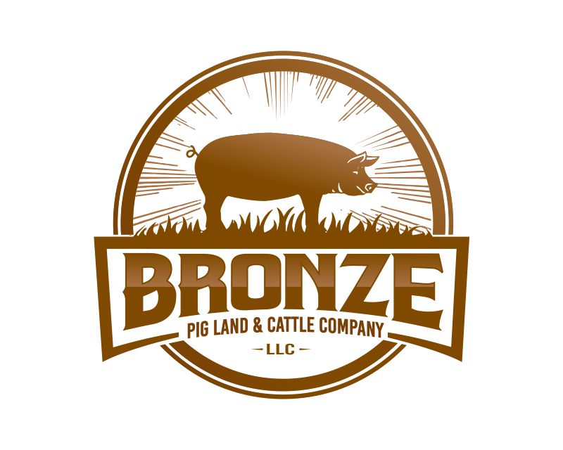 Logo Design entry 3231872 submitted by jack73 to the Logo Design for Bronze Pig Land & Cattle Company, LLC run by sandyw