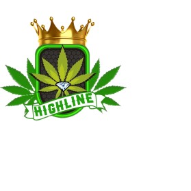 Graphic Design entry 2229972 submitted by deezzzee to the Graphic Design for Highline run by skyoceanrl