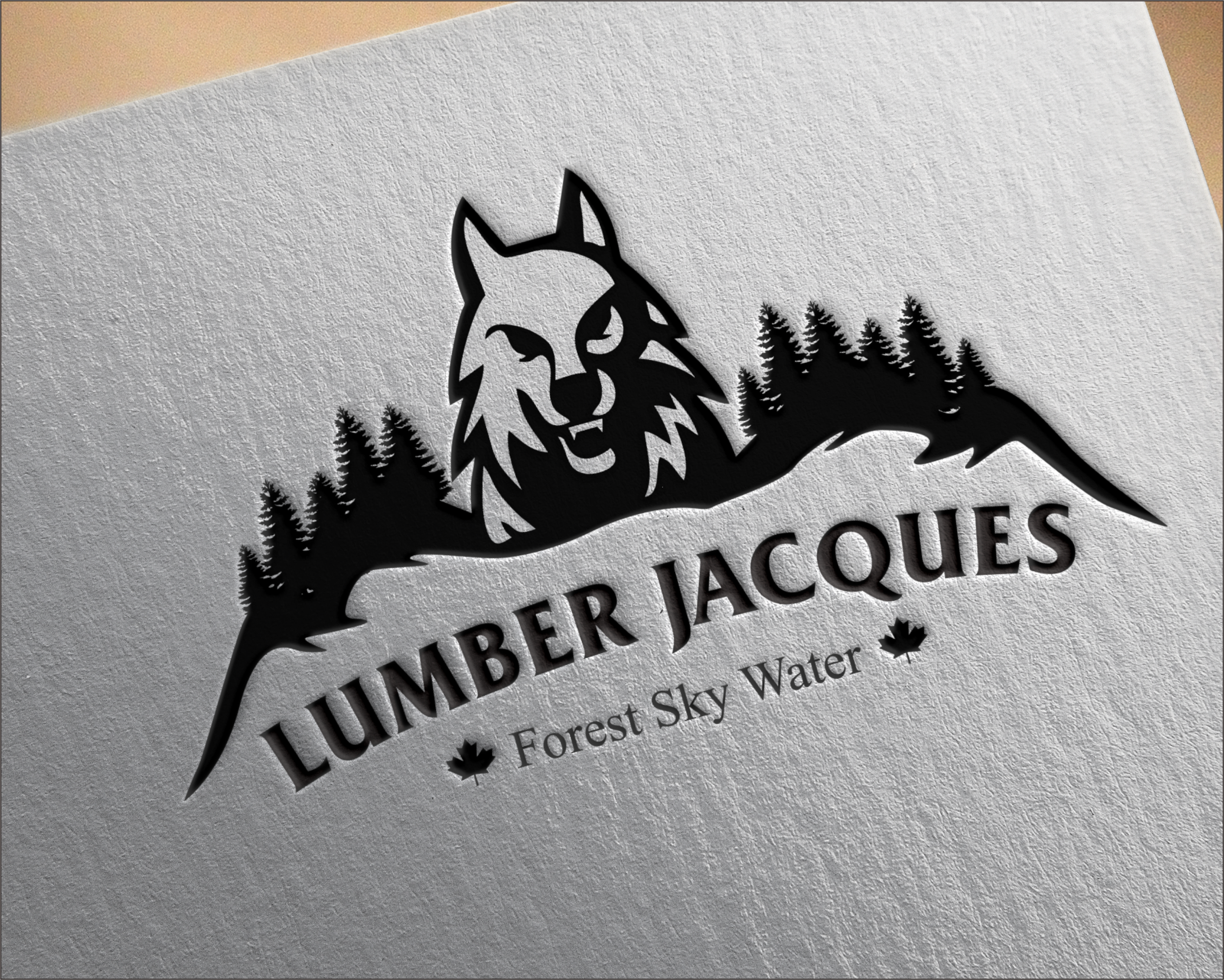 Logo Design entry 2318010 submitted by duana4