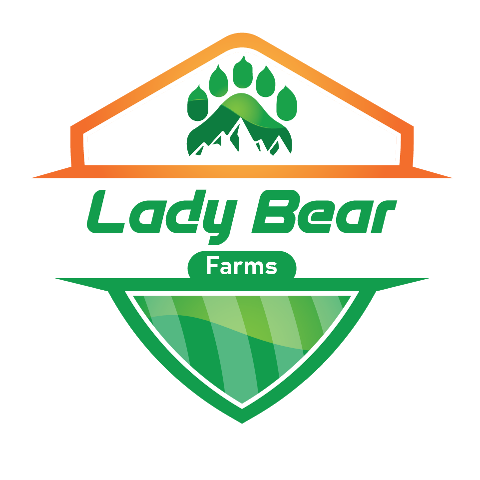 Logo Design entry 2352790 submitted by SheikhSatu