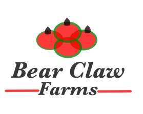 Logo Design Entry 2263348 submitted by Divyana55 to the contest for Lady Bear Farms Or Bear Claw Farms run by pmcgold01